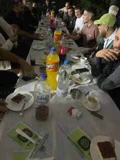Yiptg отзывы