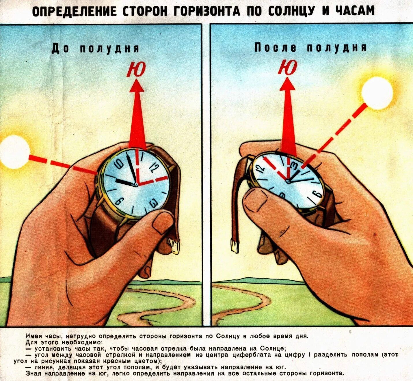 Как понять сторону по компасу. Определение сторон света по часам и солнцу. Ориентирование в лесу по компасу Адрианова. Стороны света ориентирование. Направление солнечного света