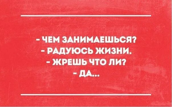 Есть чем заняться вечером. Чем занимаешься прикол. Чем заняться вечером. Чем занимаешься что ответить с юмором. Чем занята что ответить с юмором.