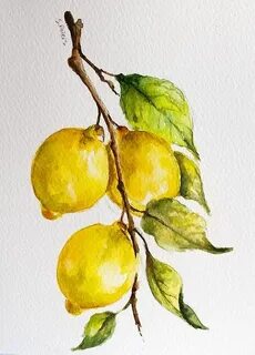 Рисунок лимонов
