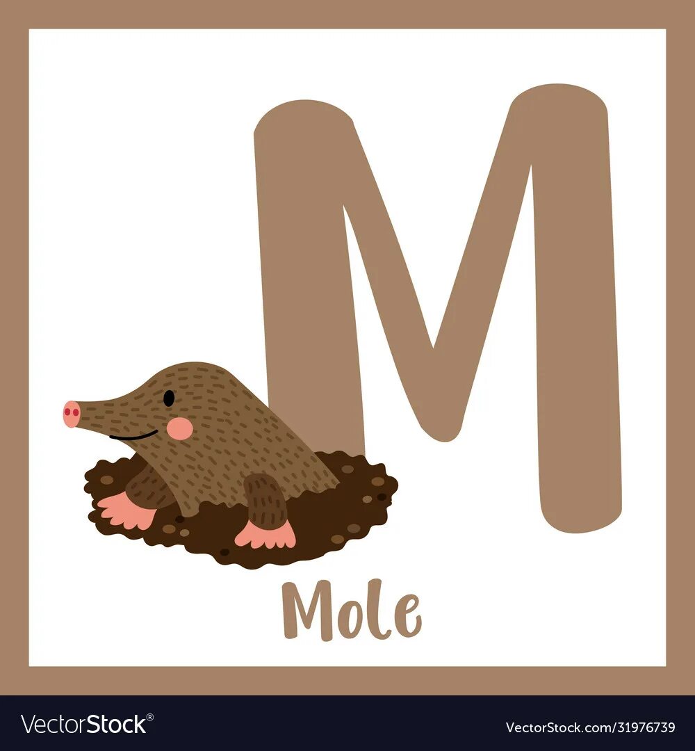 Mole на русском. H mole знаки. mole flashcard for kids.