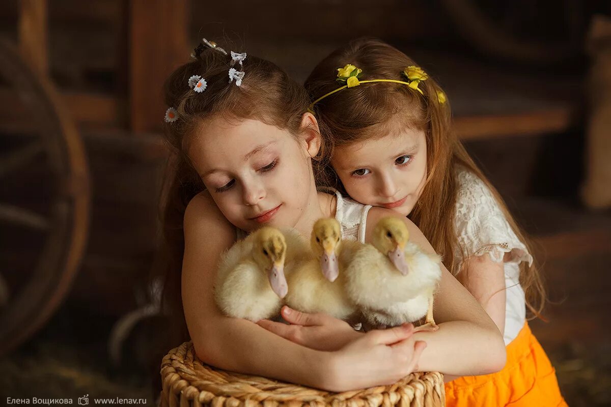 фотосессия с утятами