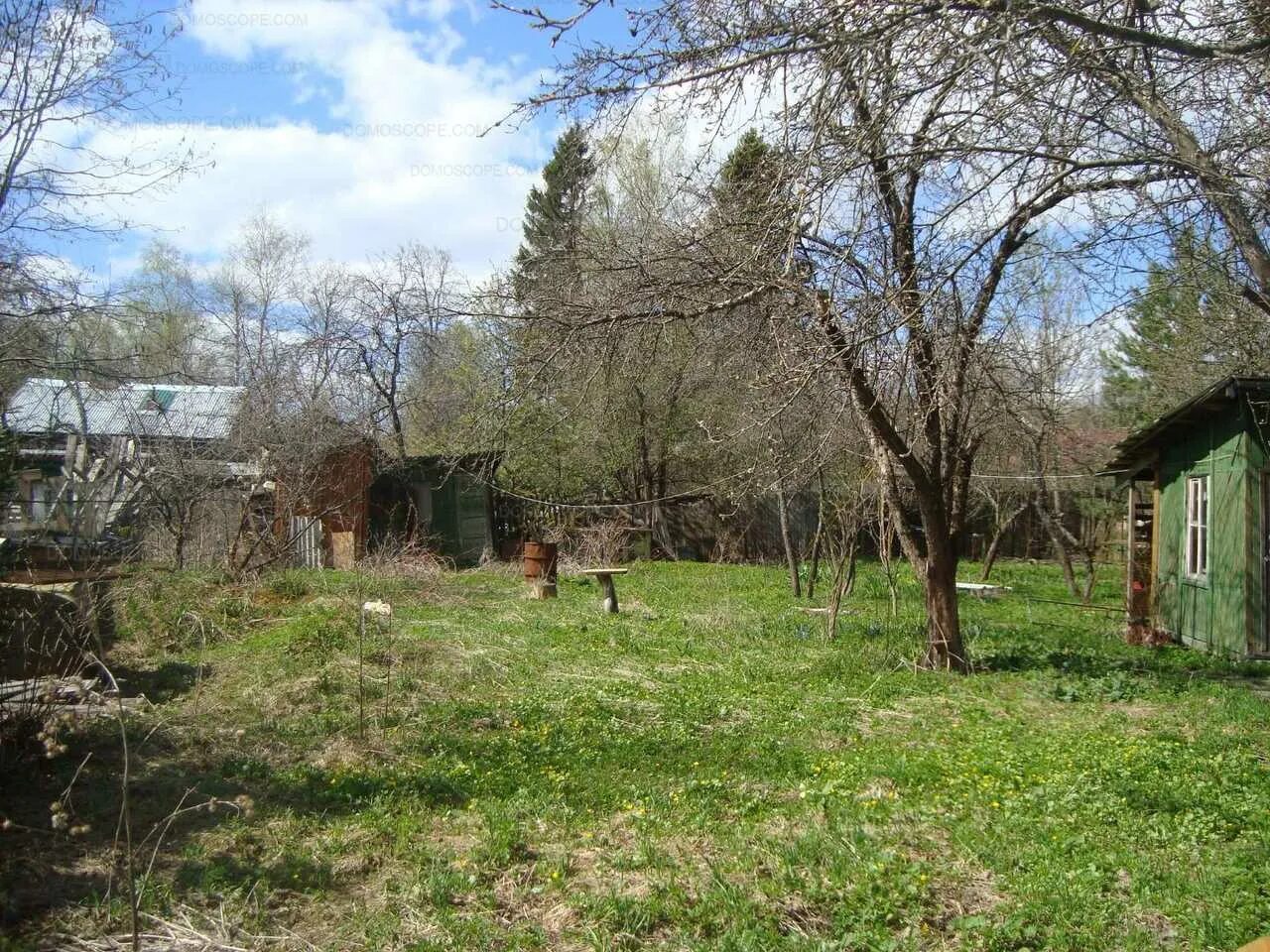 Снт тимирязева дедовск. Снт тимирязева дедовск план. Фото дедовской земли. Снт тимирязева. Снт тимирязева 379 нижний новгород.