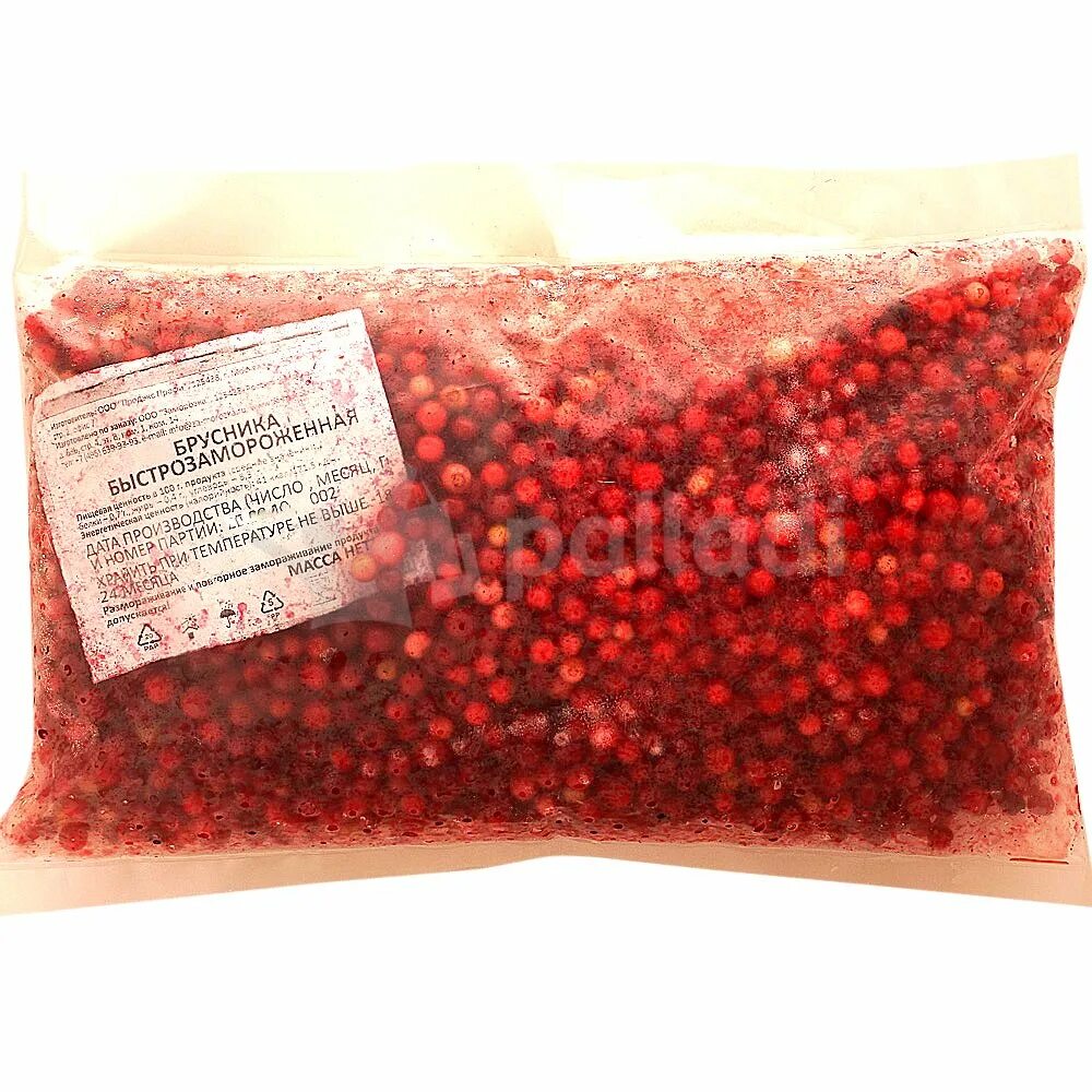 Брусника печени. Брусника. Брусника среда обитания. Брусника печени. Vaccinium vitis-idaea.