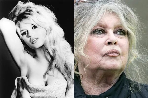 Брижит анн мари бардо фото Brigitte Bardot Брижит бардо, Французская актриса, Певицы