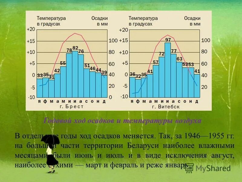 Самый влажный климат в мире