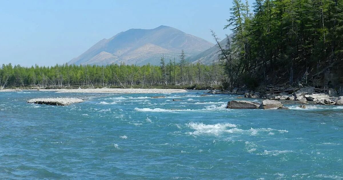 В океане есть река. Река Делькю. Делькю-Охотская. Бифуркация реки Делькю. Бифуркация Делькю-Охотская река.