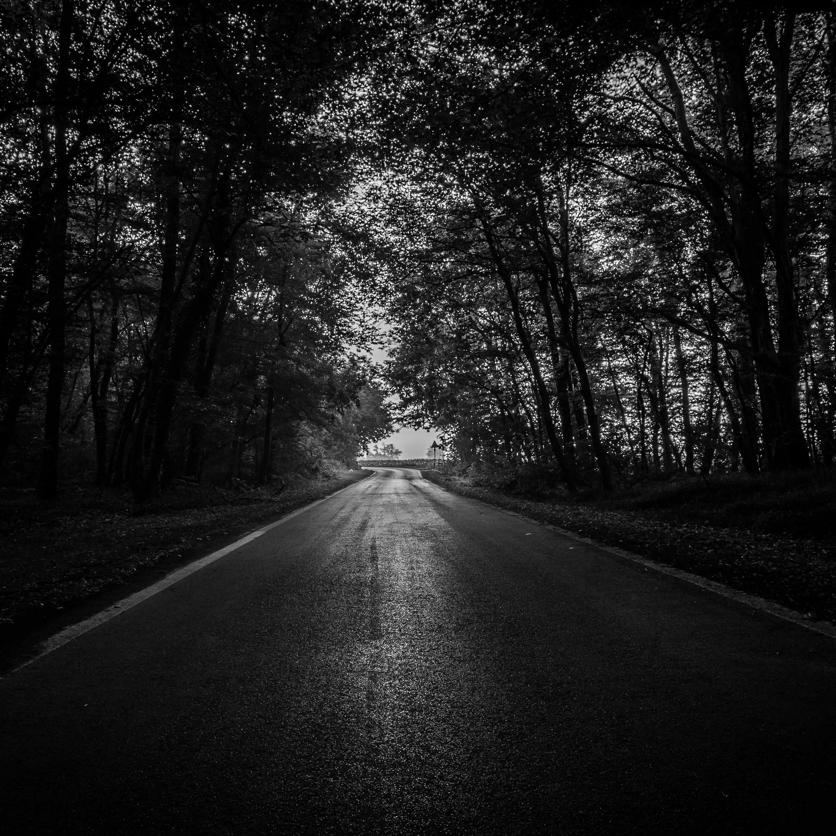 Трек темнота. Темная дорога. Мрачная дорога. Дорога в лесу. Дорога черно белая.
