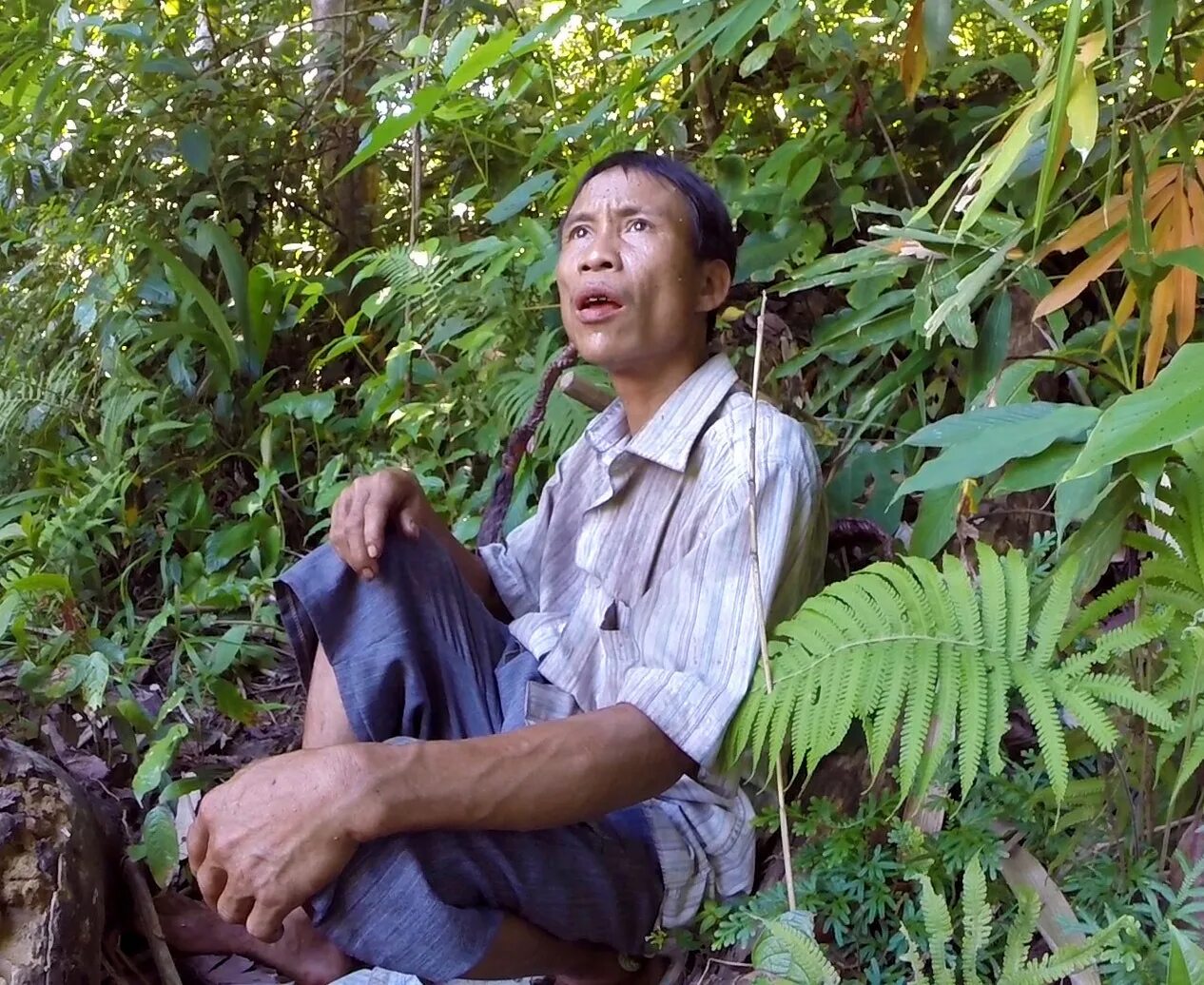 Люди которые живут в джунглях. Джунгли Вьетнама.