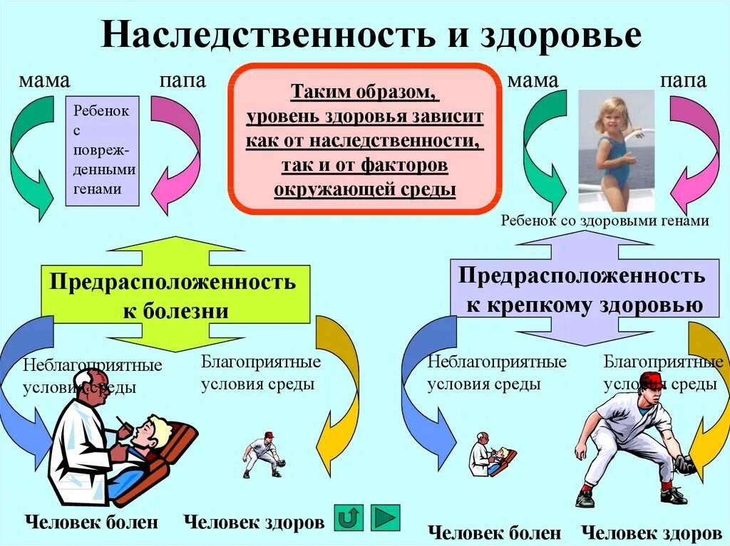 Мама папа продукт. Генетические факторы влияющие на здоровье. Наследственность и здоровье человека. Влияние наследственности на здоровье человека. Наследственные факторы здоровья.