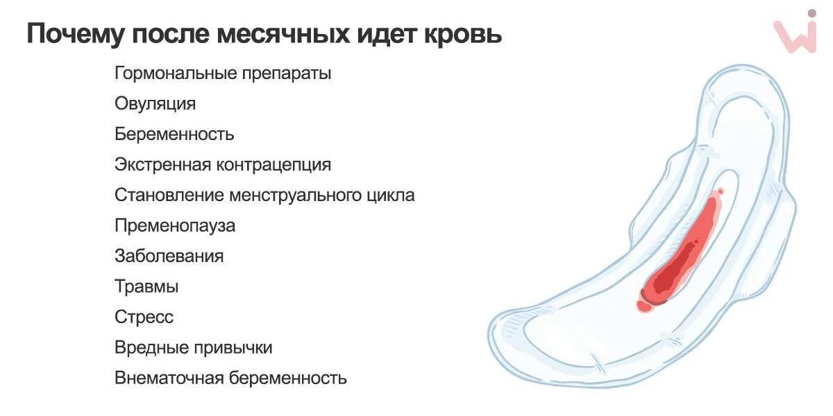 Кровь после полового акта. Как выглядят нормальные месячные. Почему после акта кровит