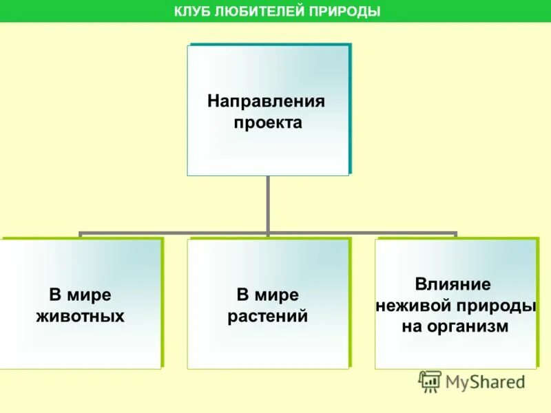 экологические факторы факторы неживой природы факторы живой природы. факторы неживой природы примеры. абиотические факторы неживой природы. влияние неживой природы на растения. экологические факторы.
