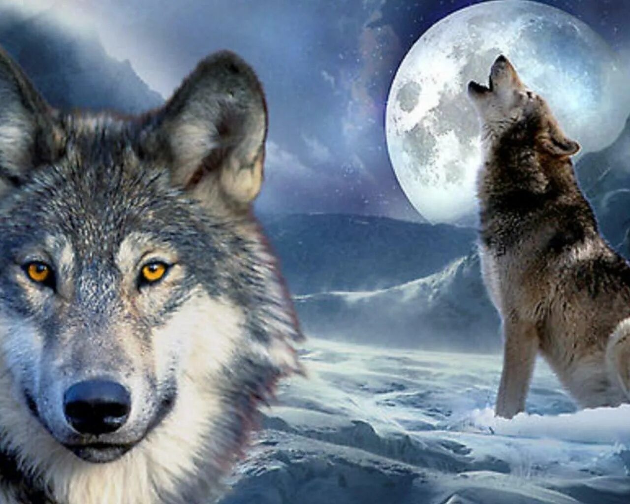 Вольф новое. Волк обои. Красивый волк. Алмазная мозаика "волк". Картинки на рабочий стол волки.