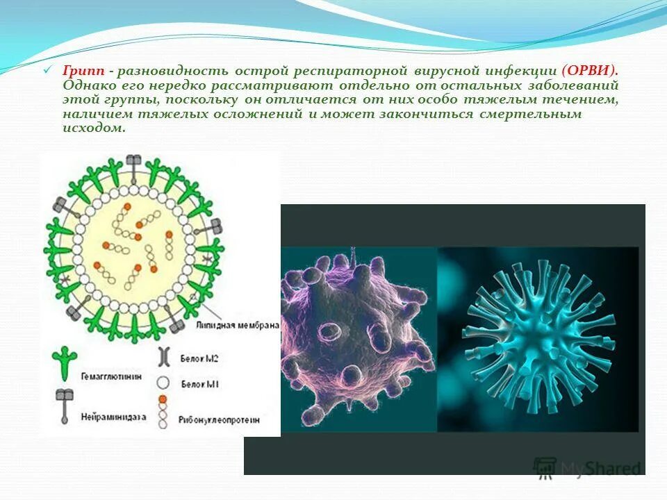 Вирус ОРВИ. Вирус гриппа. Респираторные вирусы. ОРВИ вирусное заболевание. Проводится гриппа