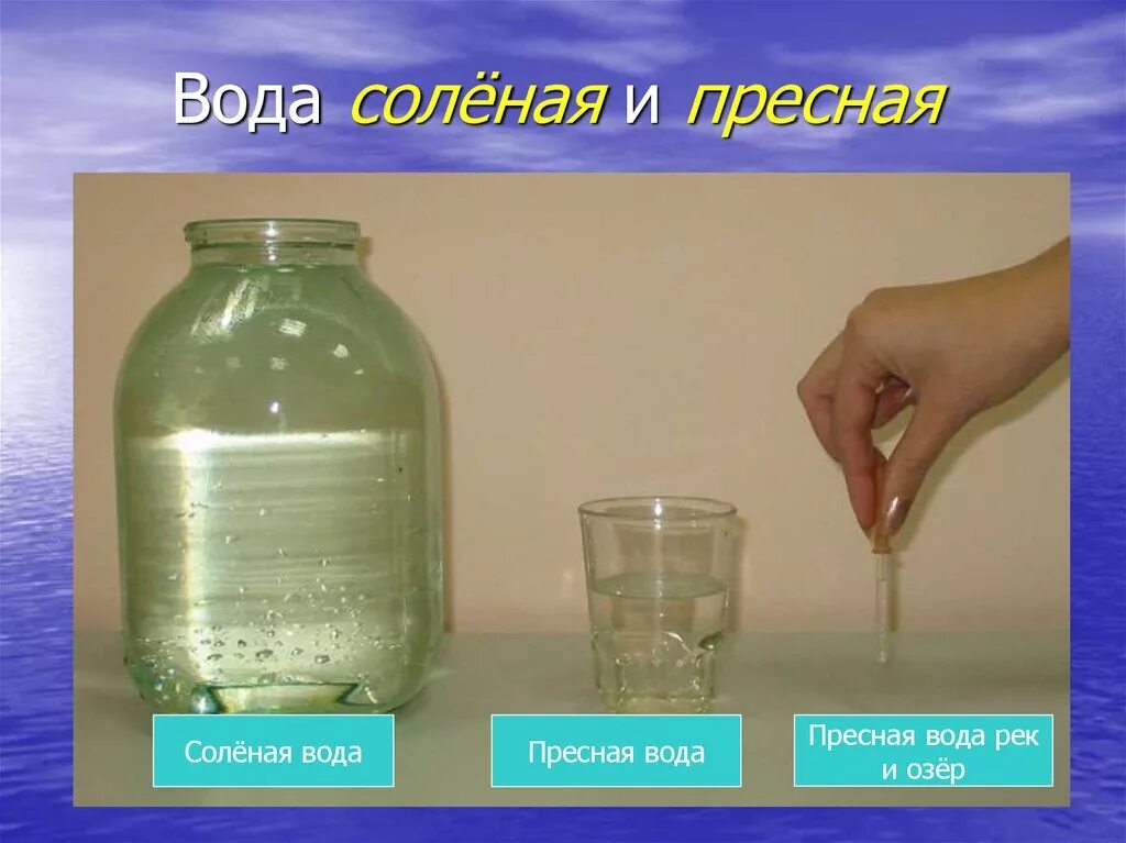 Пресная и соленая вода. Соотношение пресной и соленой воды. Соотношениепрестной и солёной воды. Пропорции соленой и пресной воды.