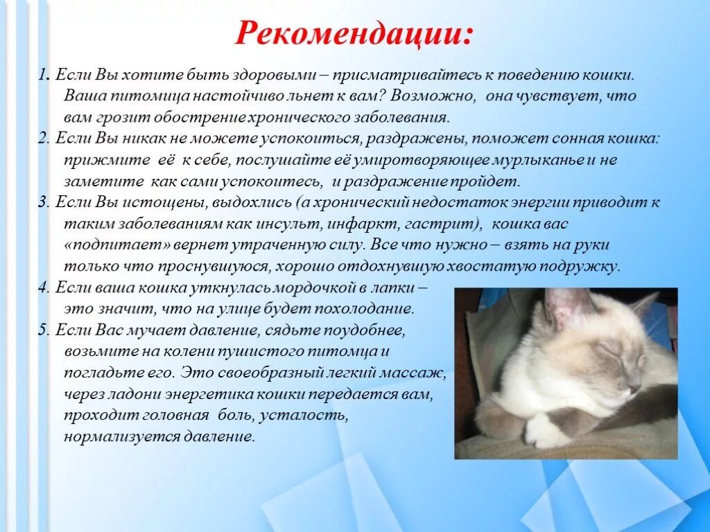 9 качеств кошки. Доклад про поведение кошек. Повадки моей кошки проект. Проект на тему домашняя кошечка. Презентация на тему поведение кошек.