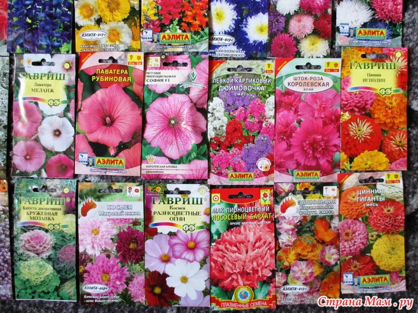Купить семена цветов доставкой