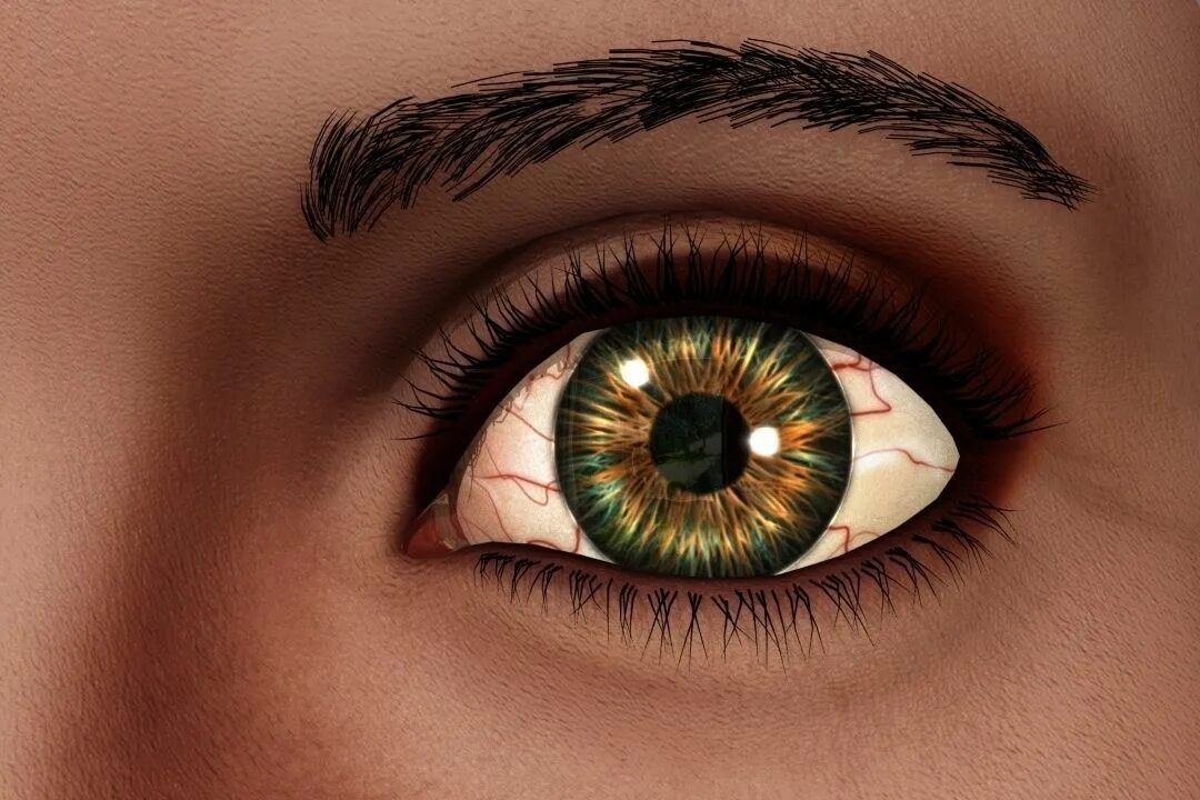 Eye 3d model