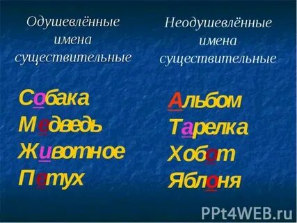 Цветок одушевленное или неодушевленное