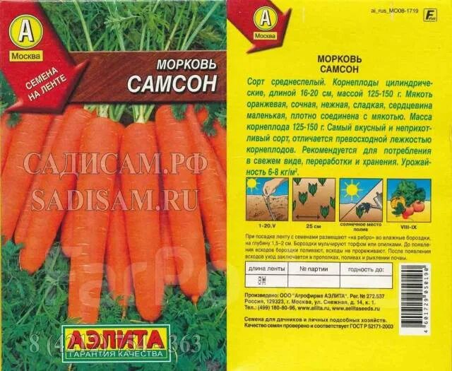 Лучшие семена моркови для Сибири: характеристика и описание сортов, фото, отзывы