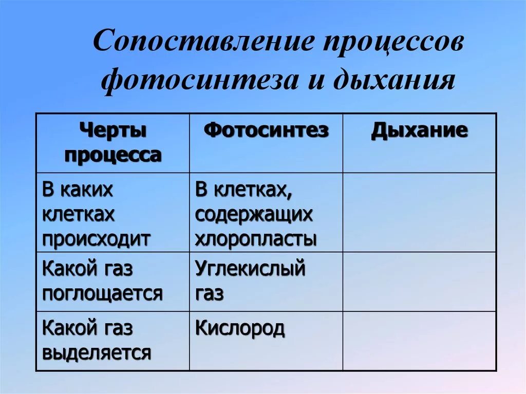 В какое время происходит фотосинтез и дыхание. Черты процесса фотосинтез дыхание. Какой ГАЗ поглощается при фотосинтезе. Сопоставление фотосинтеза и дыхания. Сопоставление процессов фотосинтеза и дыхания.