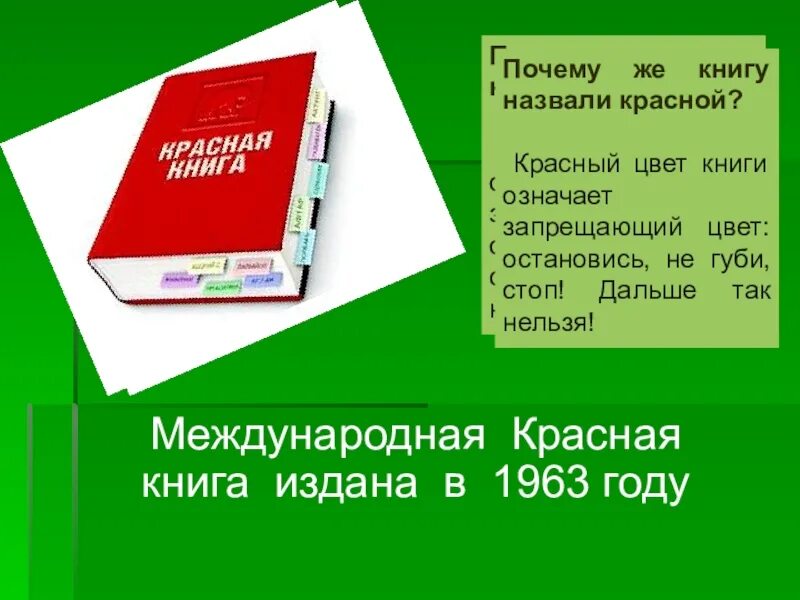 Ведение красных книг. Красная книга. Красный цвет красной книги. Почему красную книгу назвали красной. Красная книга сигнал тревоги.