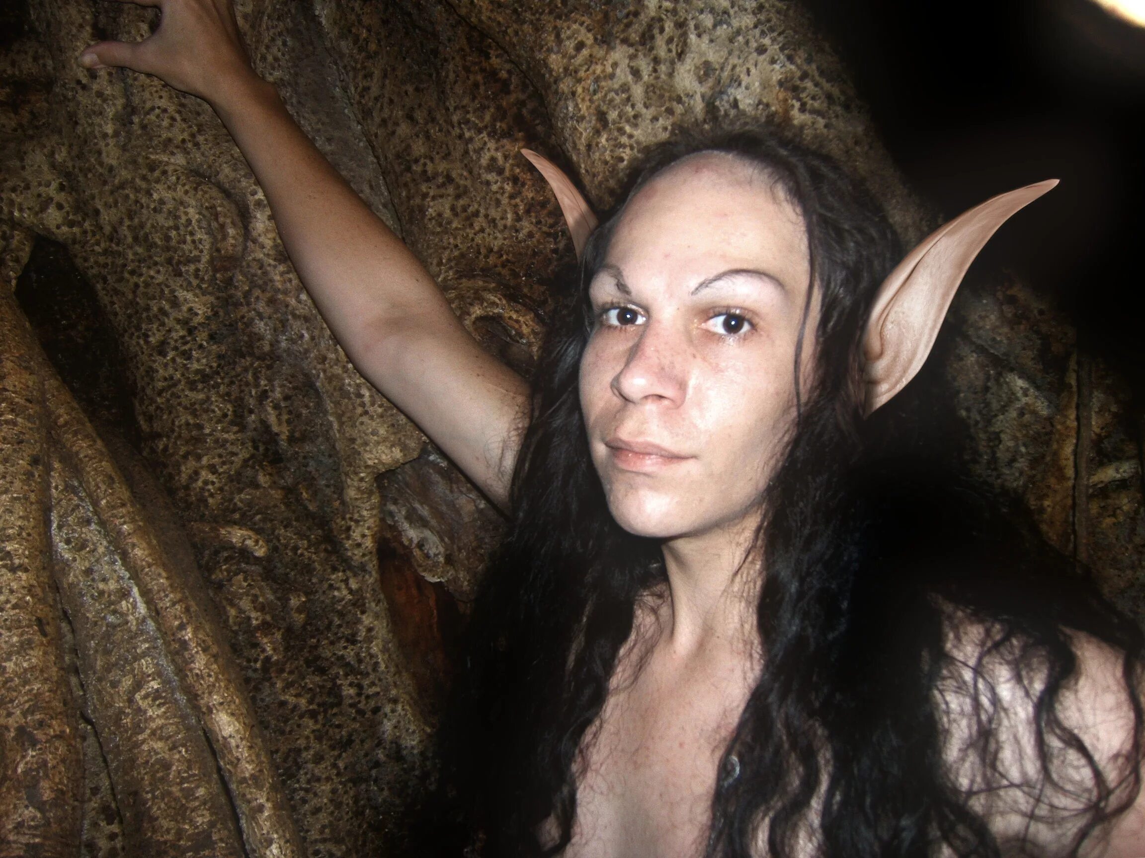 Были ли эльфы