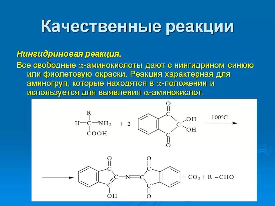 Полипептид с азотной кислотой дает окрашивание. Реакция с нингидрином на аминокислоты. Кислота глутаминовая нингидриновая реакция. Взаимодействие аминокислот с нингидрином. Аминокислота нингидрин реакция.