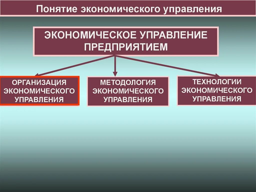 Экономическое управление предприятием. Понятие управления предприятием. Экономика и управление на предприятии. Организация экономического управления на предприятии.