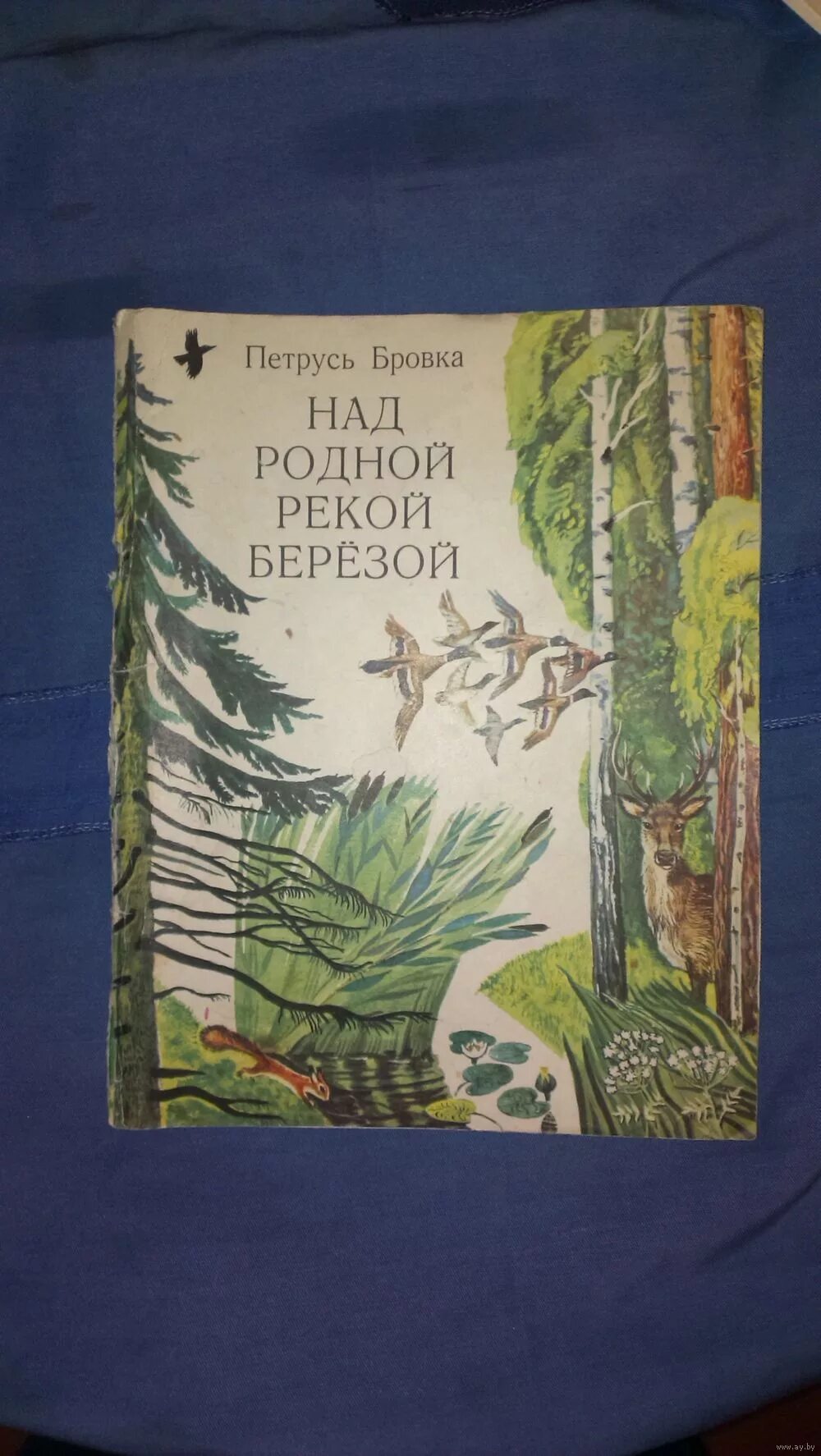 Пятрусь броўка. Стихи пятрусь броука. Пятрусь броўка. Бацькі пятруся броўкі. Бровка.