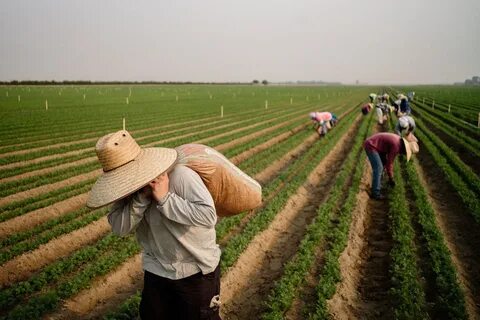 Farm work