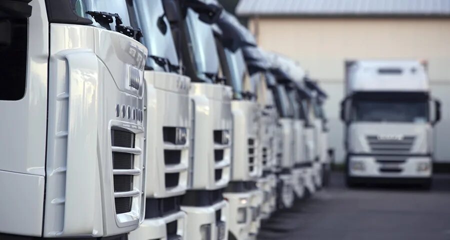 Международная автомобильная организация