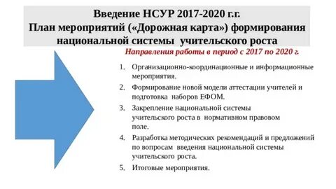 Национальная система роста