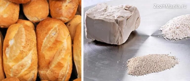 Полезные дрожжи для хлеба. Дрожжевой хлеб польза. Вред дрожжевого хлеба. Дрожжи хлеб вред. Какие дрожжи полезнее