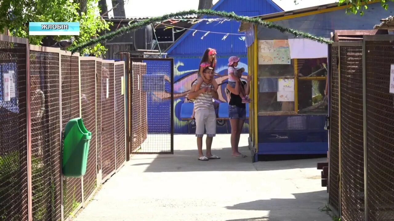 Зоопарк октябрьский. Зоопарк в гомеле. Гомельский зоопарк. Контактный зоопарк гомель. Зоопарк октябрьский башкортостан.