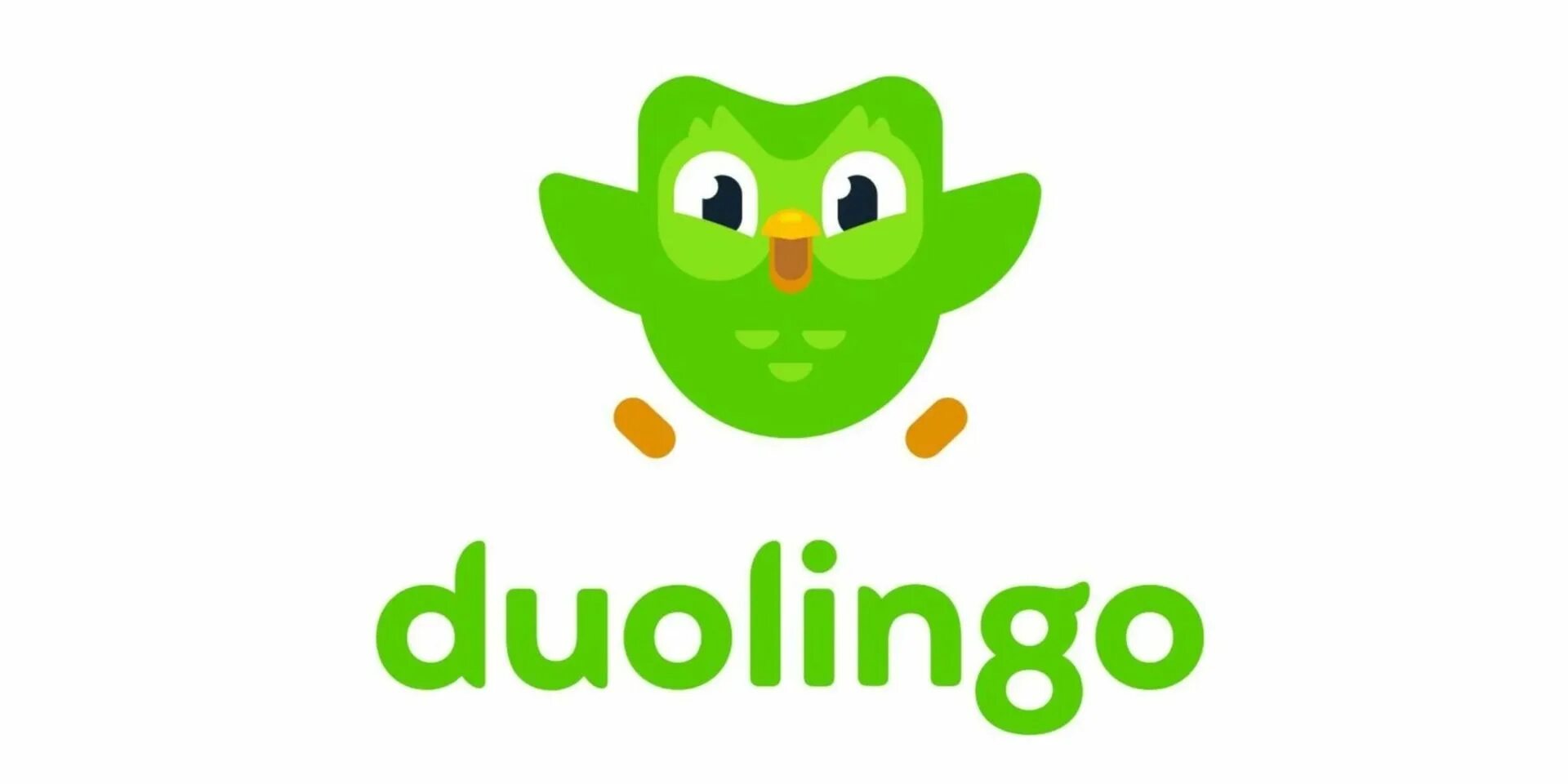 Dino lingo. Duolingo сова. Дуолинго. Duolingo иконка. Дуолинго обои.
