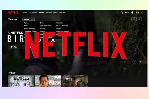 Подписка на нетфликс. Netflix подписка. подписка на нетфликс в россии. тарифы подписки нетфликс. netflix тарифы.