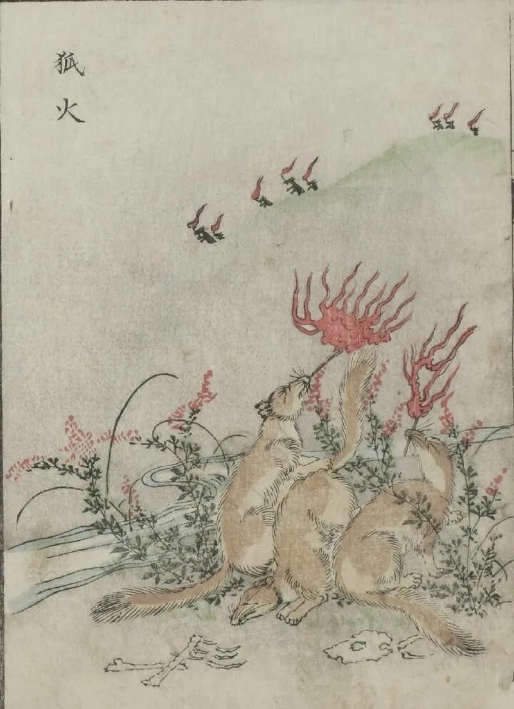 Лис на японском. Кицунэ японская гравюра. старинные японские гравюры кицунэ. лисица кицунэ японская гравюра. кицунэ традиционная гравюра.