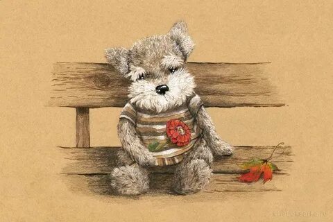 Teddy wonderful