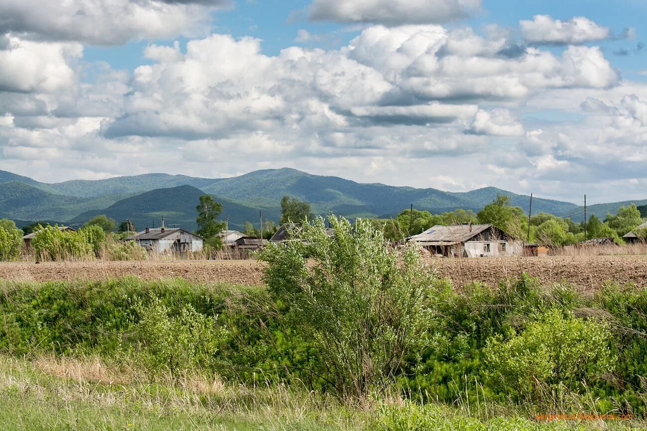 Село Корниловка Приморский край. Варфоломеевка (село, Приморский край). Село гражданка Приморский край Анучинский район. Село Корниловка Приморский край Анучинский район.