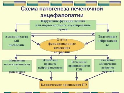 Патогенез печеночной комы