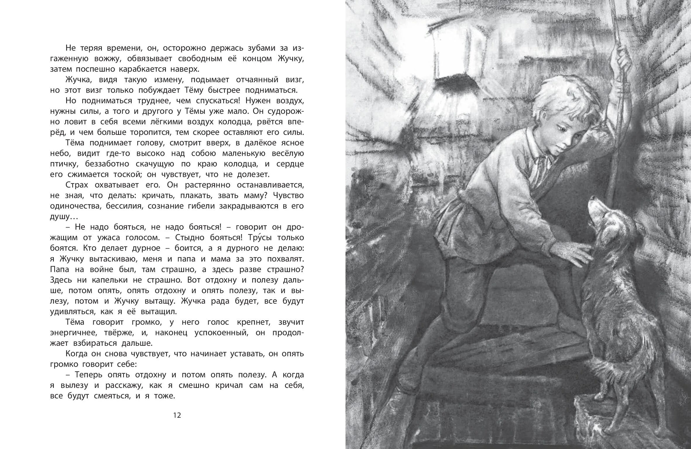 Гарин детство темы читать кратко. Рассказ гарина михайловского тема и жучка. н. г. гарин михайловский тема и жучка прочитать.
