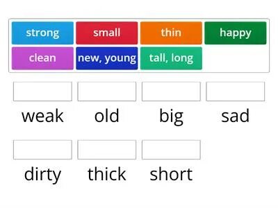 Rainbow english 6 unit 5 wordwall