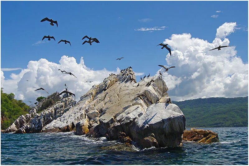 птичий остров волгоград