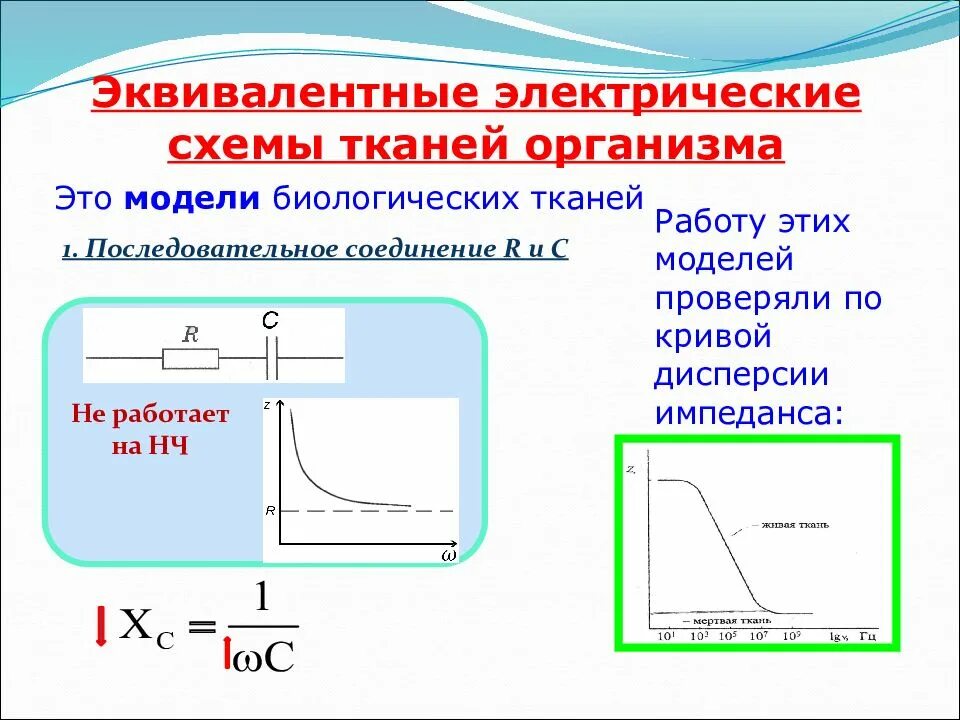 Эквивалентные электрические схемы живых тканей. Эквивалентная электрическая схема живой ткани организма. Импеданс тканей организма. Эквивалентные схемы тканей.. Полное сопротивление (импеданс) тканей организма.