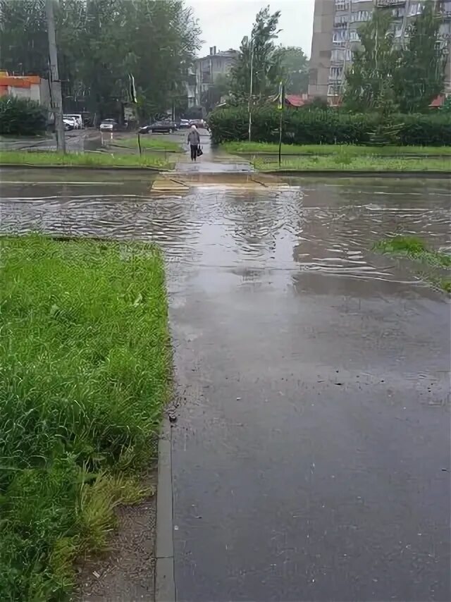 Осадки котлас в реальном времени