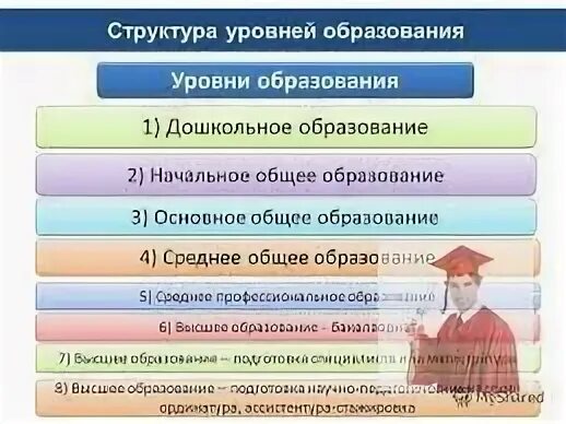 На каком уровне образования находится костя