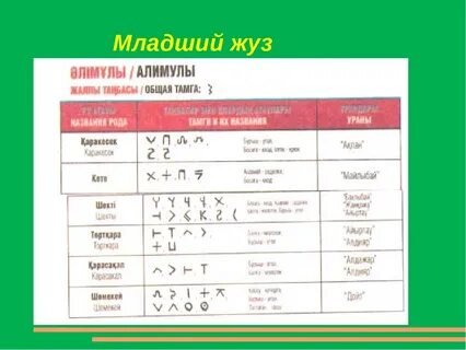 Младший род