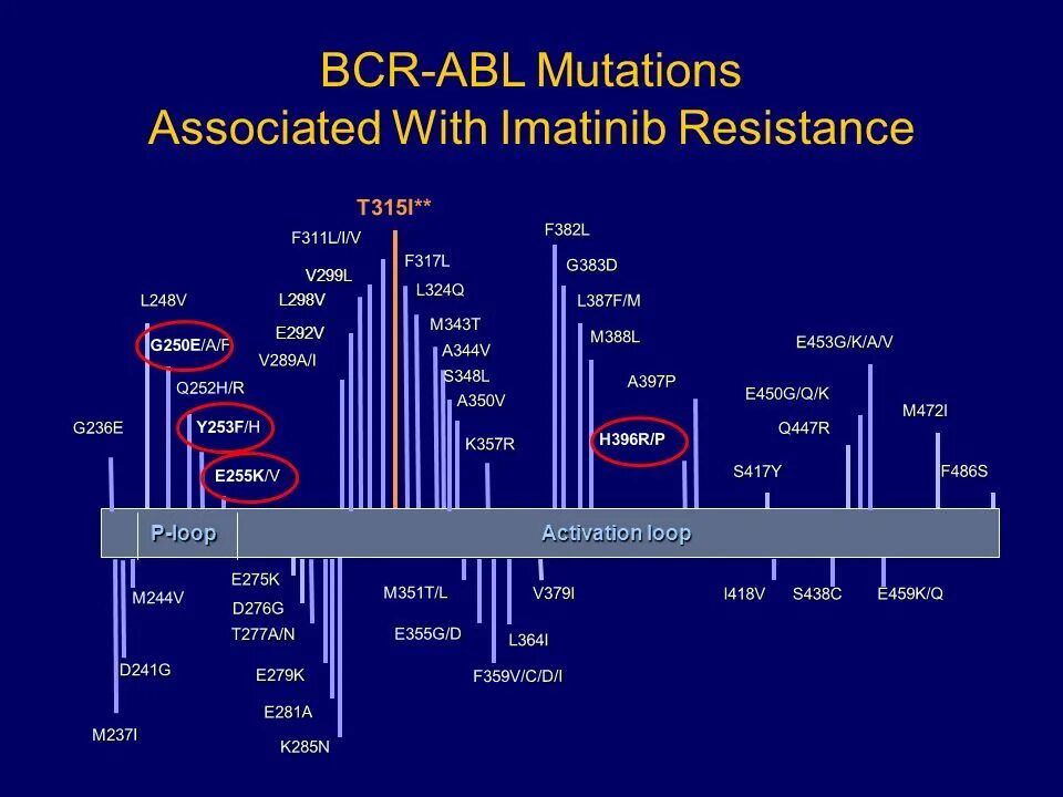 Экспрессия bcr abl. Bcr abl p210 анализ. Ген bcr-abl что это. Структура bcr. Bcr abl p210 антитела.