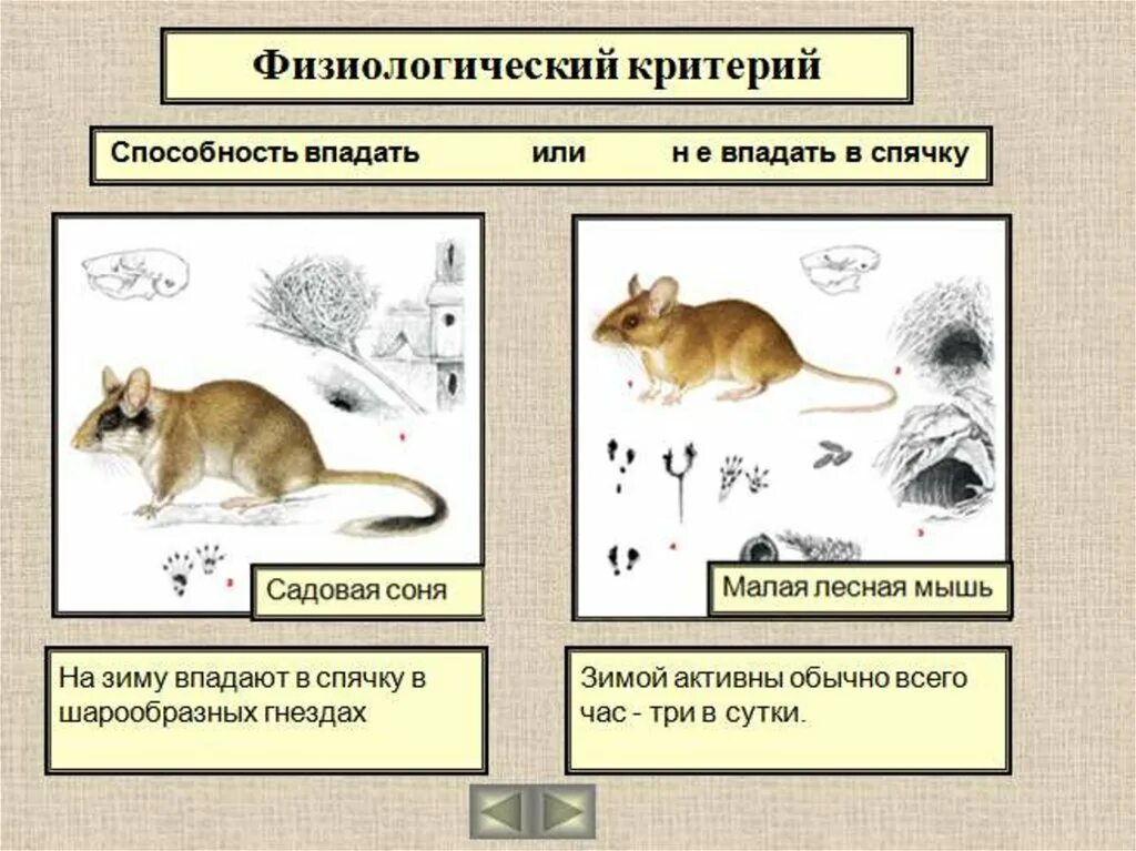 Физиологический критерий. Физиологический критерий примеры. Фищиологиечский Крите. Что такое физиологические признаки в биологии